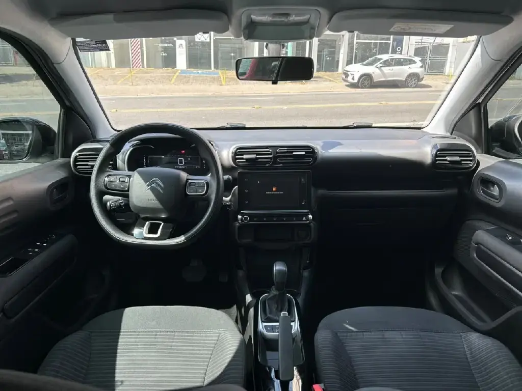 galeria C4 CACTUS
