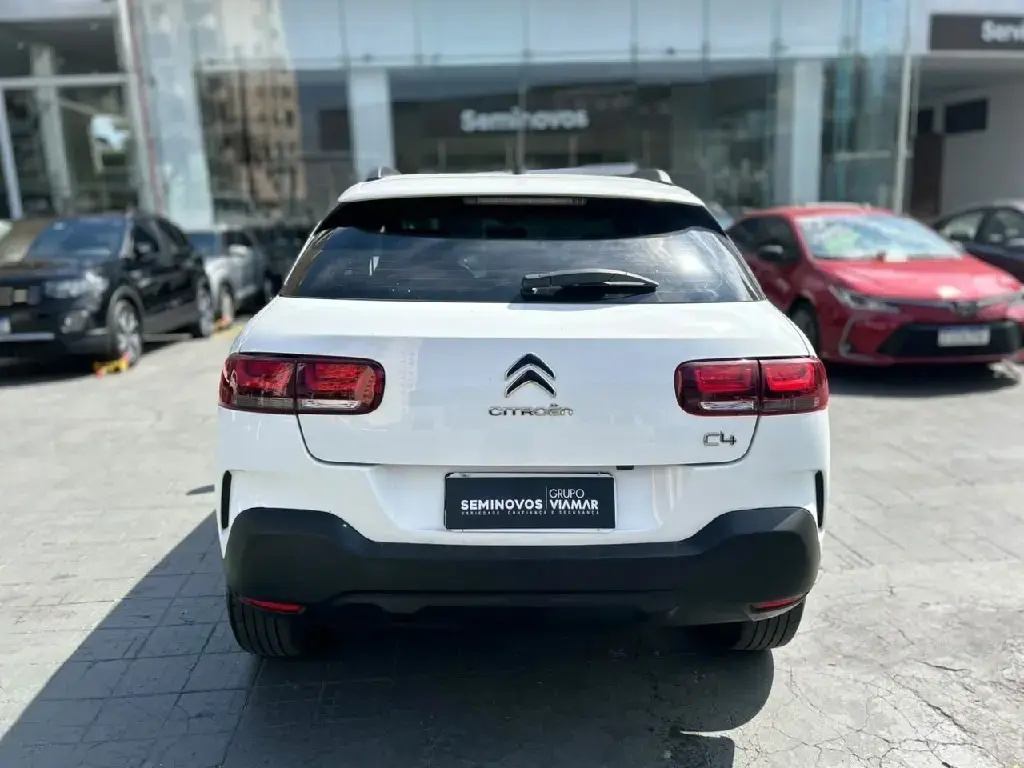 galeria C4 CACTUS