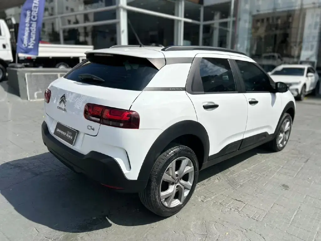 galeria C4 CACTUS