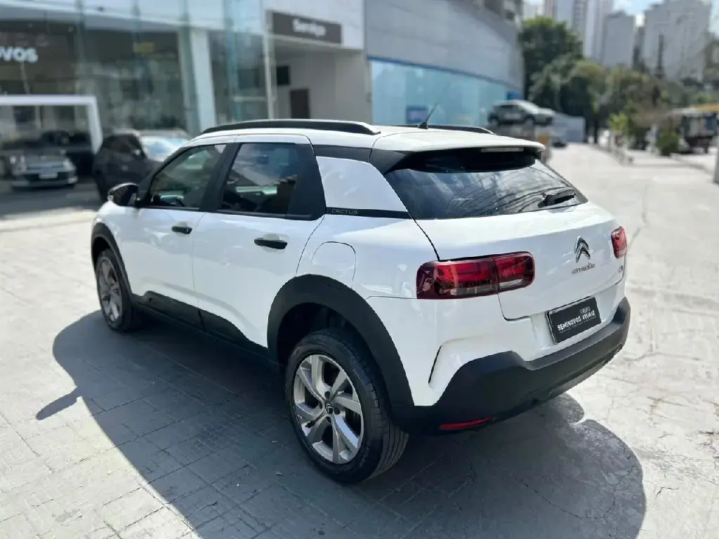 galeria C4 CACTUS