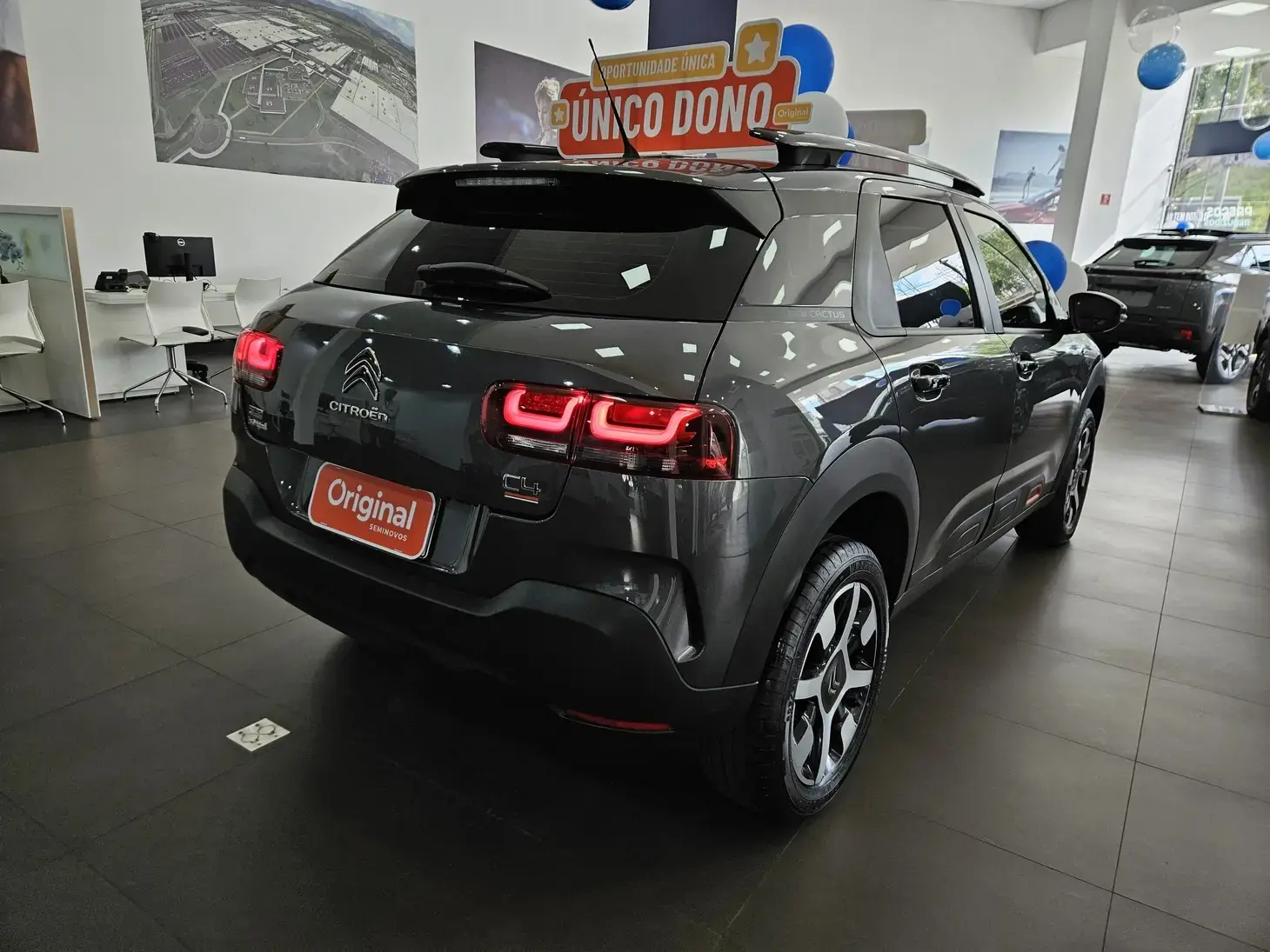 galeria C4 Cactus