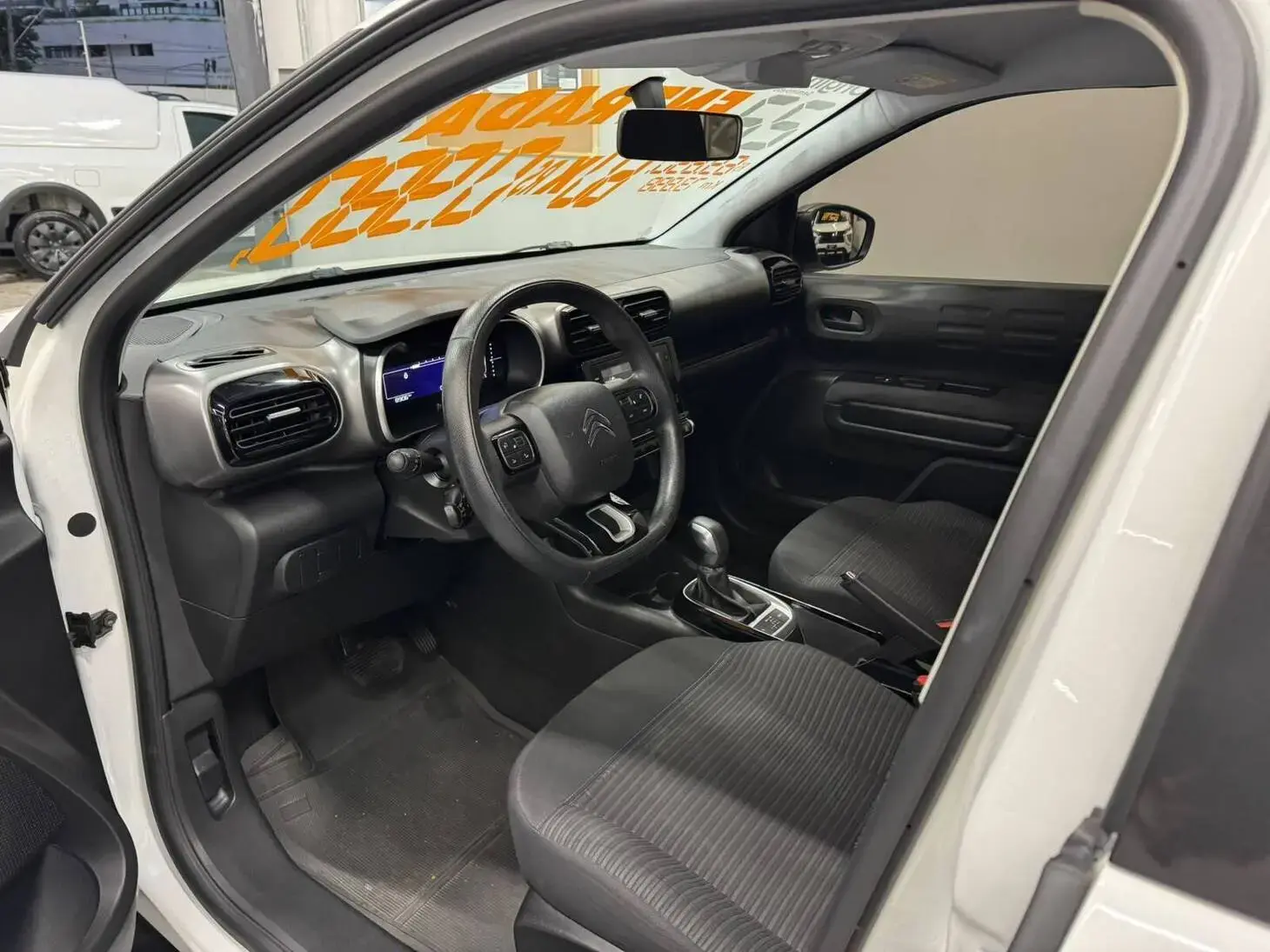 galeria C4 Cactus