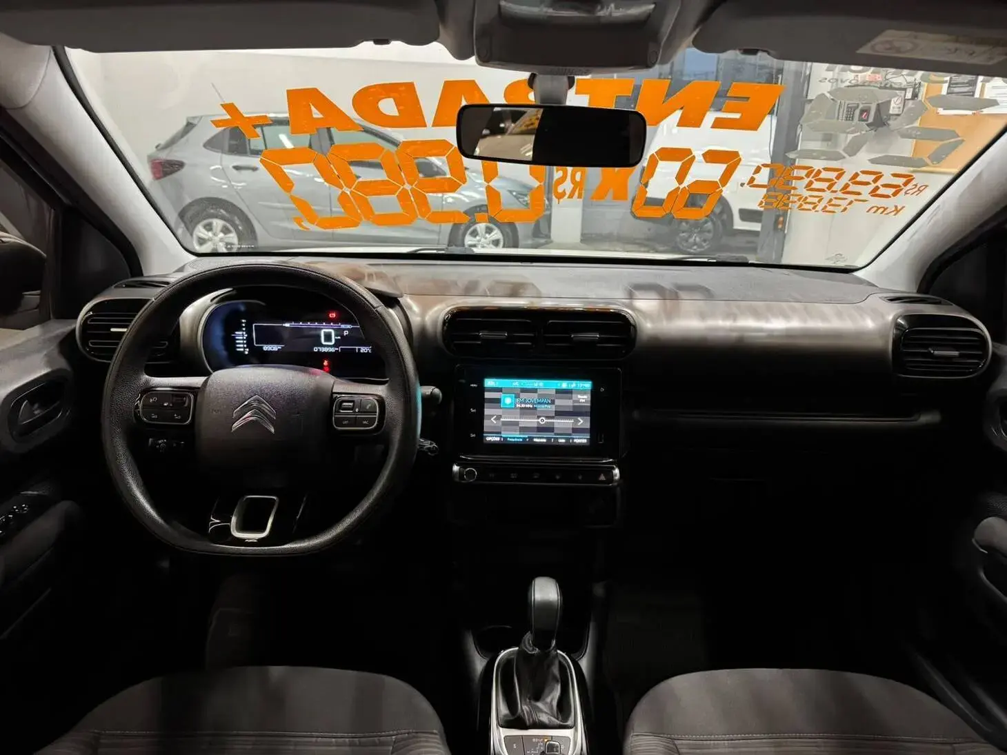 galeria C4 Cactus