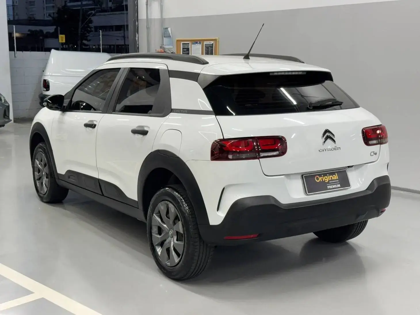 galeria C4 Cactus