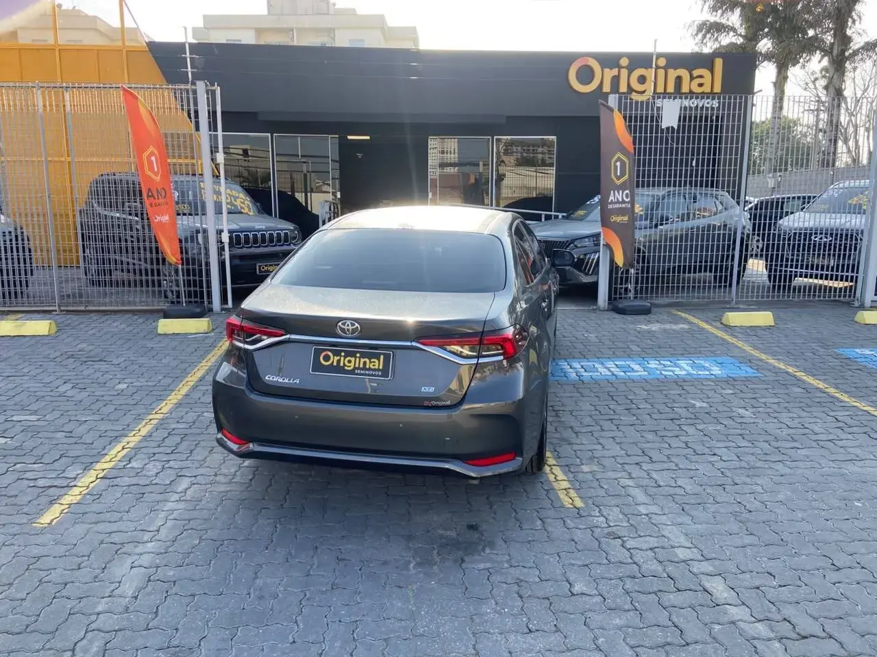 galeria Corolla