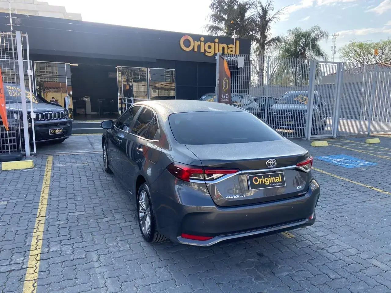 galeria Corolla