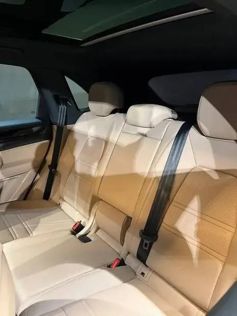 Porsche Cayenne 3.0 V6 462cv (Híbrido)