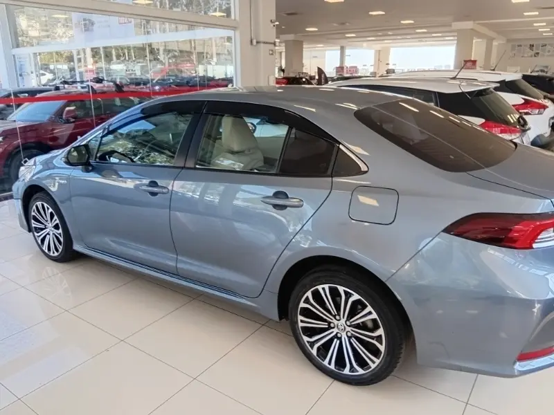 galeria Corolla