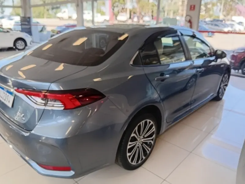 galeria Corolla