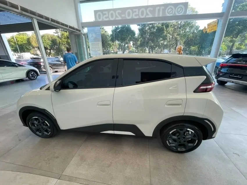 galeria DOLPHIN MINI