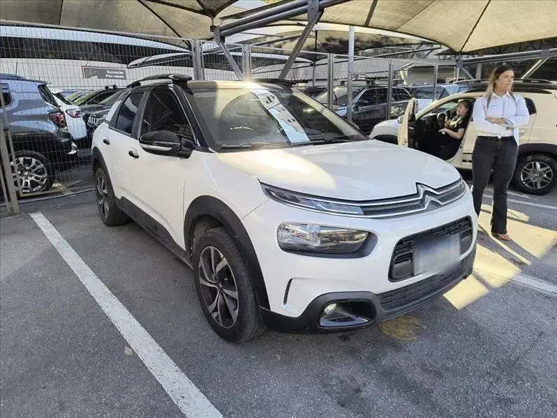 galeria C4 CACTUS