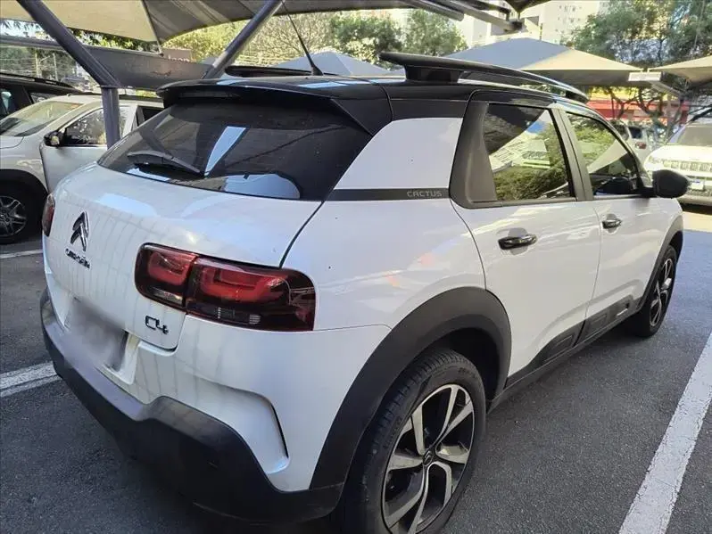 galeria C4 CACTUS