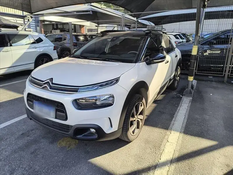 galeria C4 CACTUS