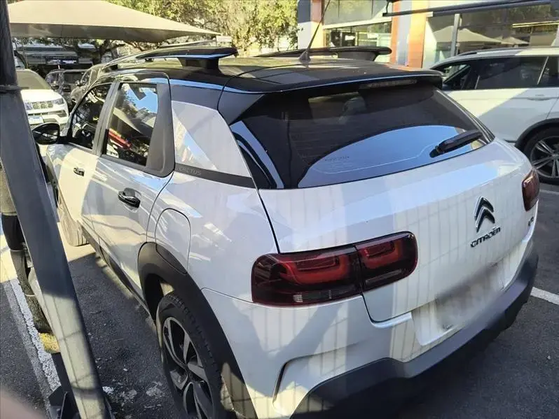 galeria C4 CACTUS