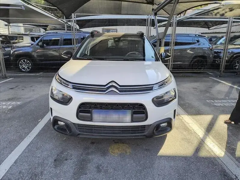 galeria C4 CACTUS