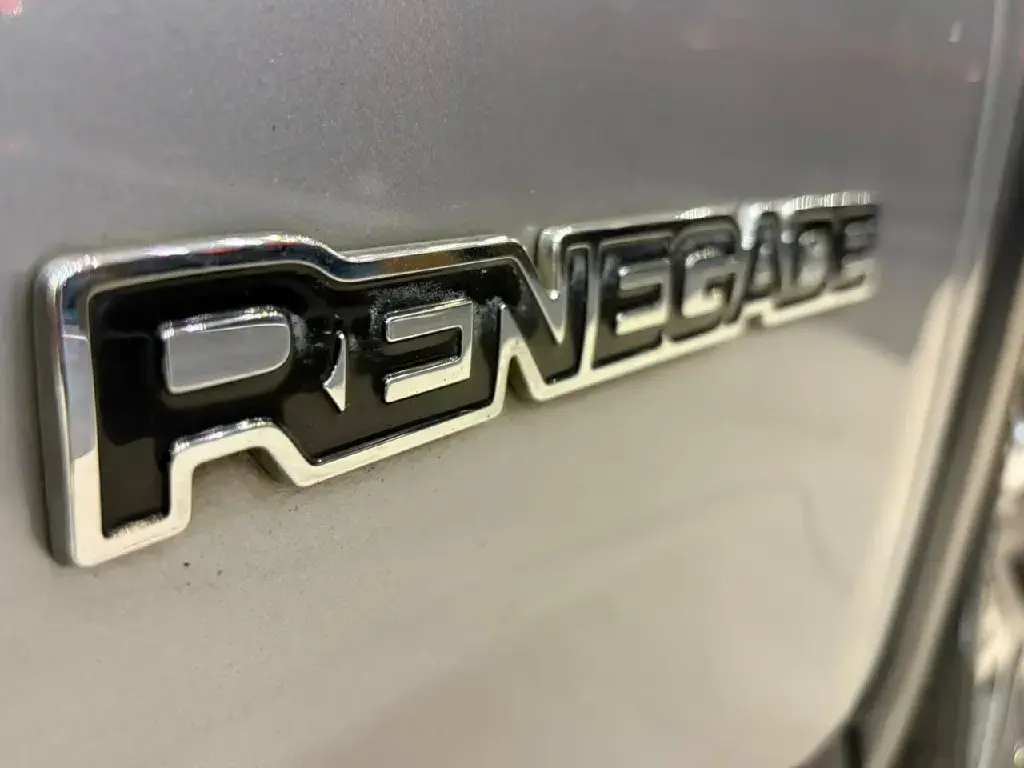 galeria RENEGADE