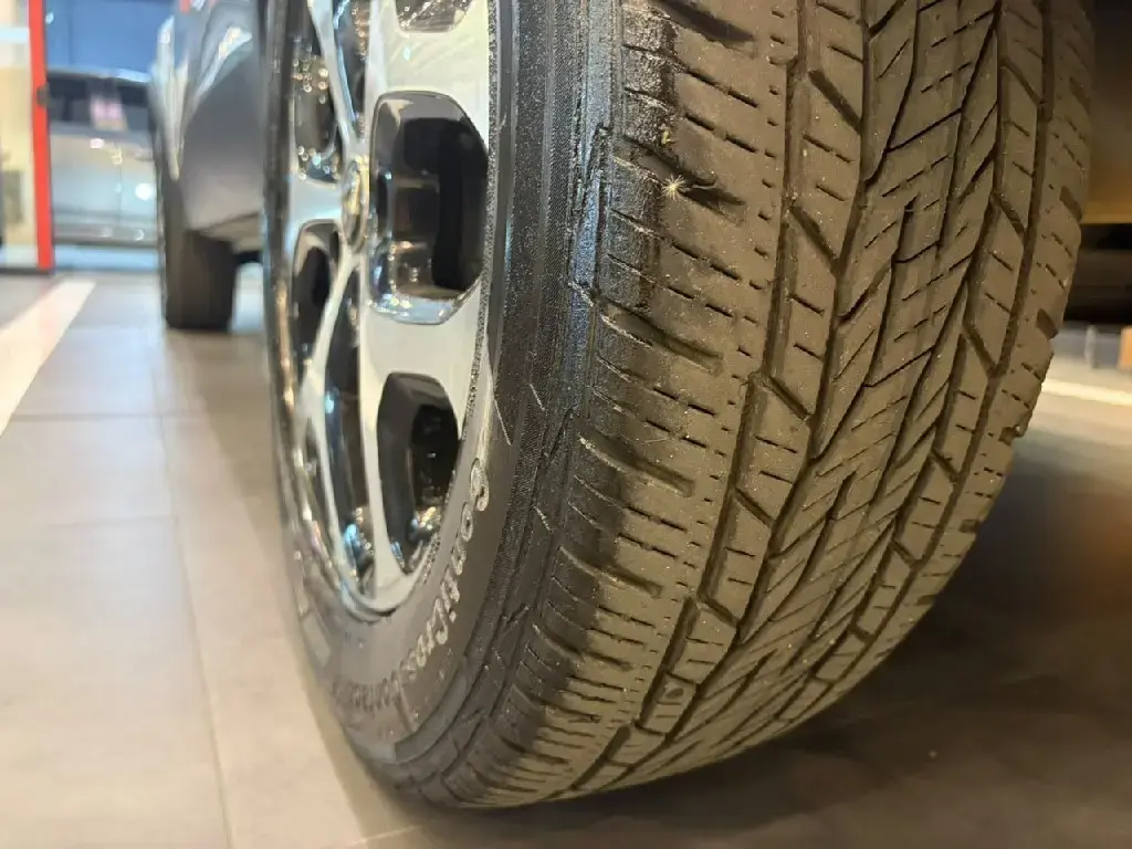 galeria CAPTUR