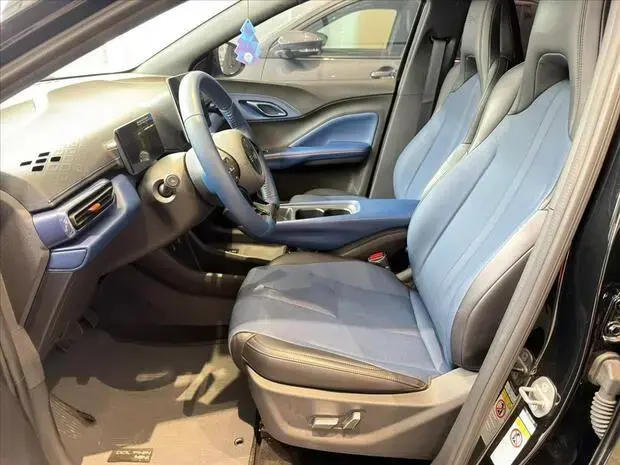 Byd DOLPHIN MINI 38 KW ELÉTRICO GS