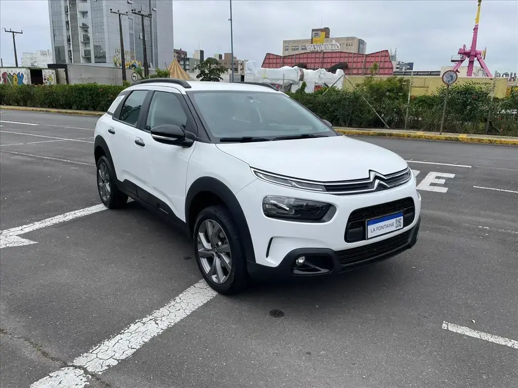 galeria C4 CACTUS