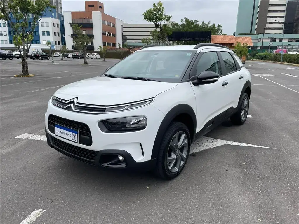 galeria C4 CACTUS