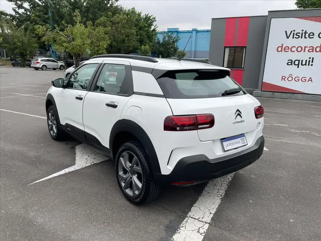 galeria C4 CACTUS