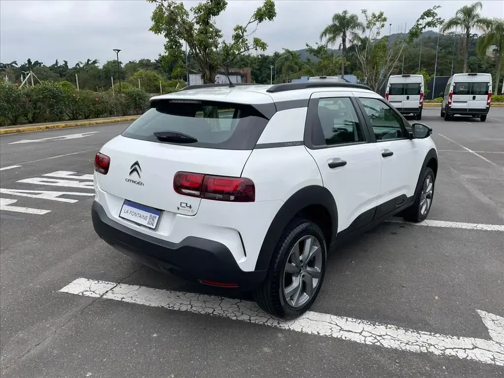 galeria C4 CACTUS