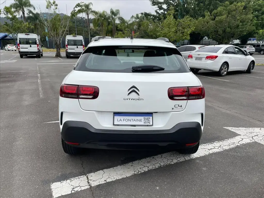 galeria C4 CACTUS