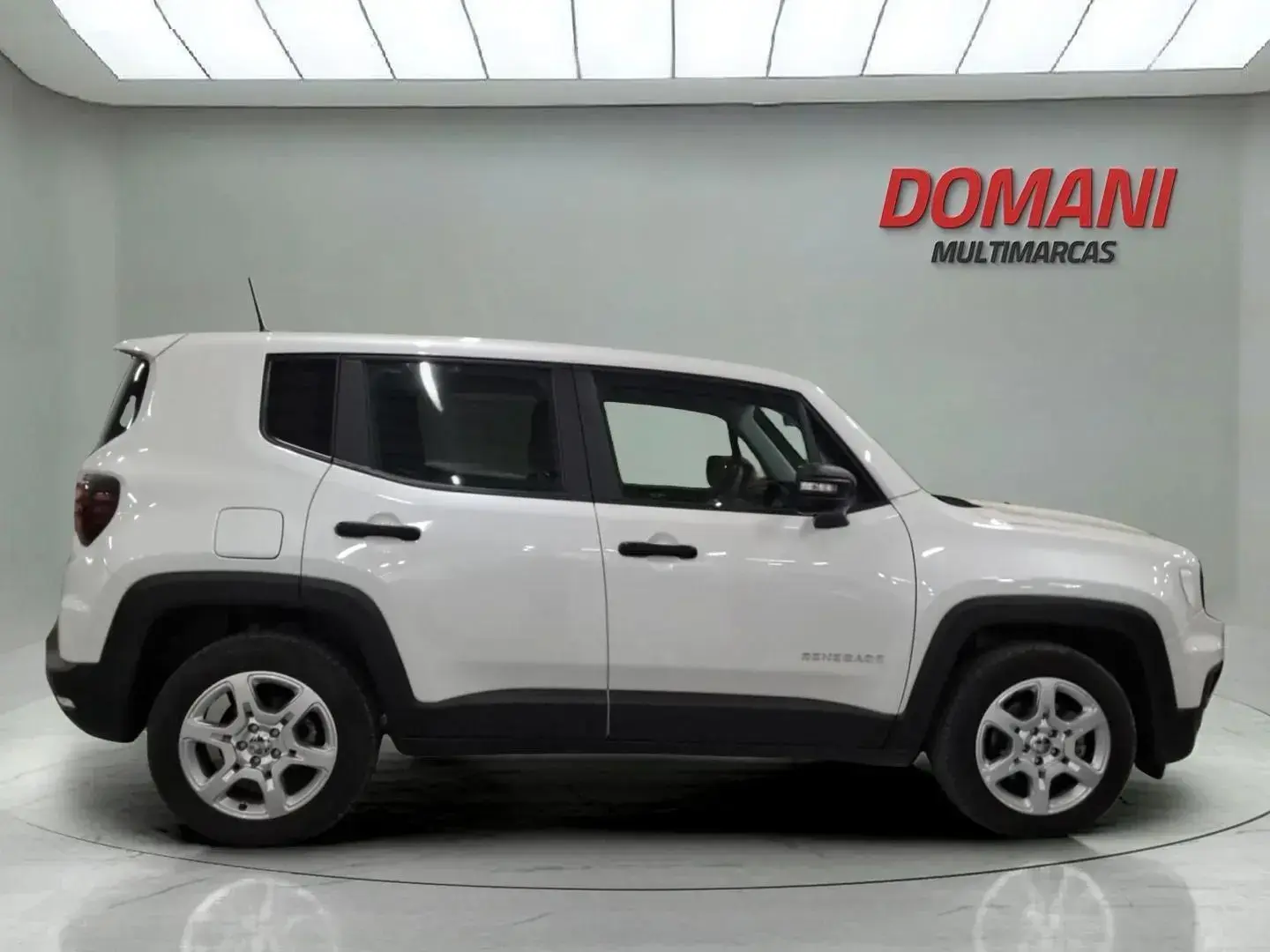 galeria RENEGADE
