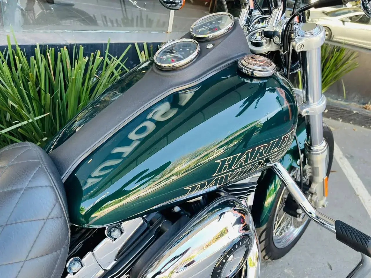 galeria Dyna