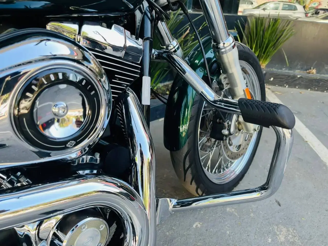 galeria Dyna