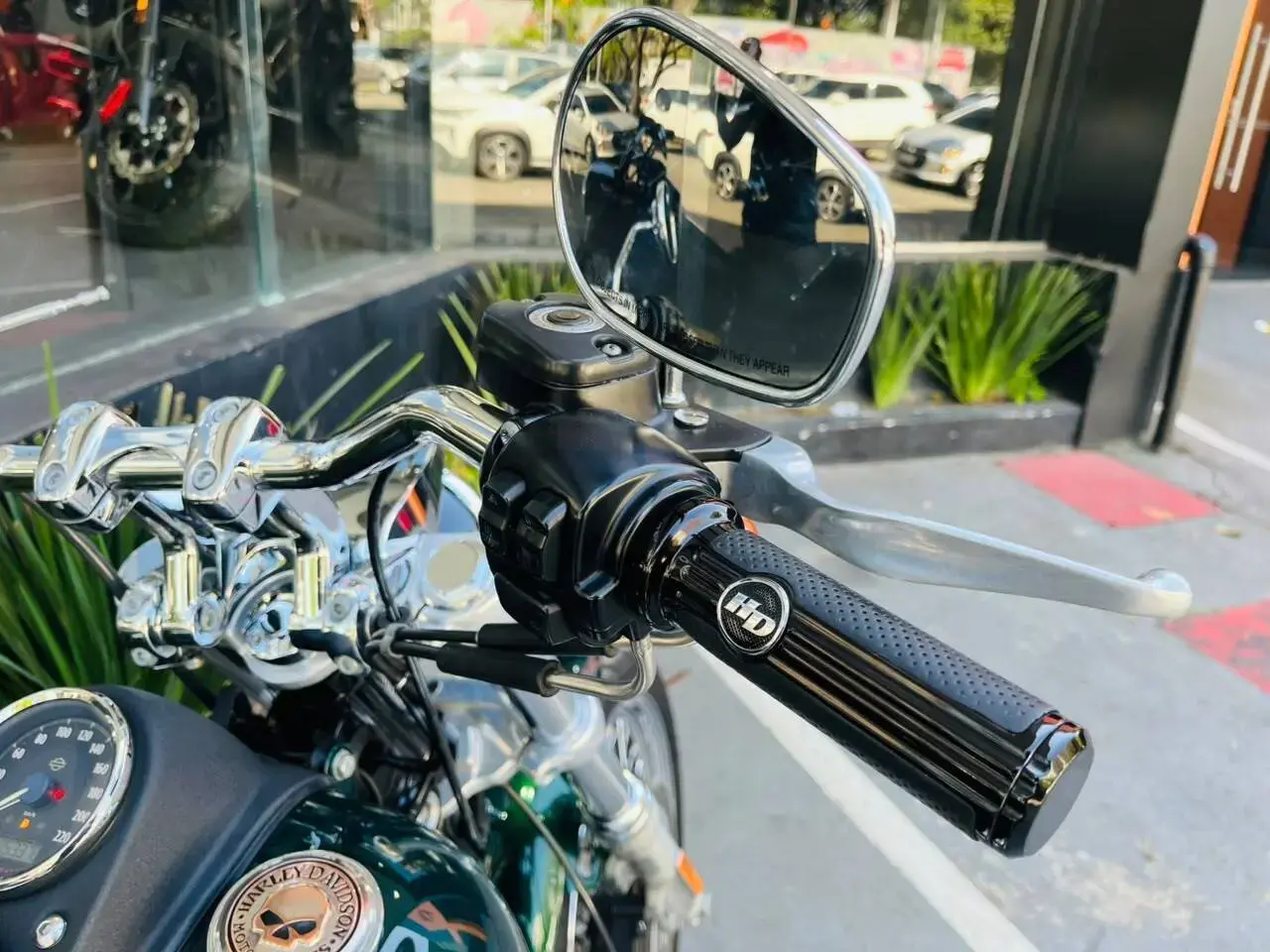 galeria Dyna