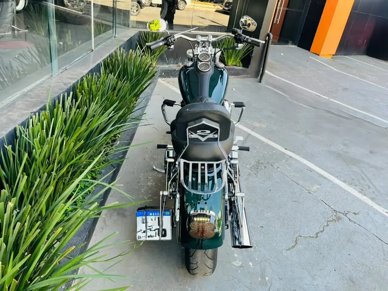 galeria Dyna