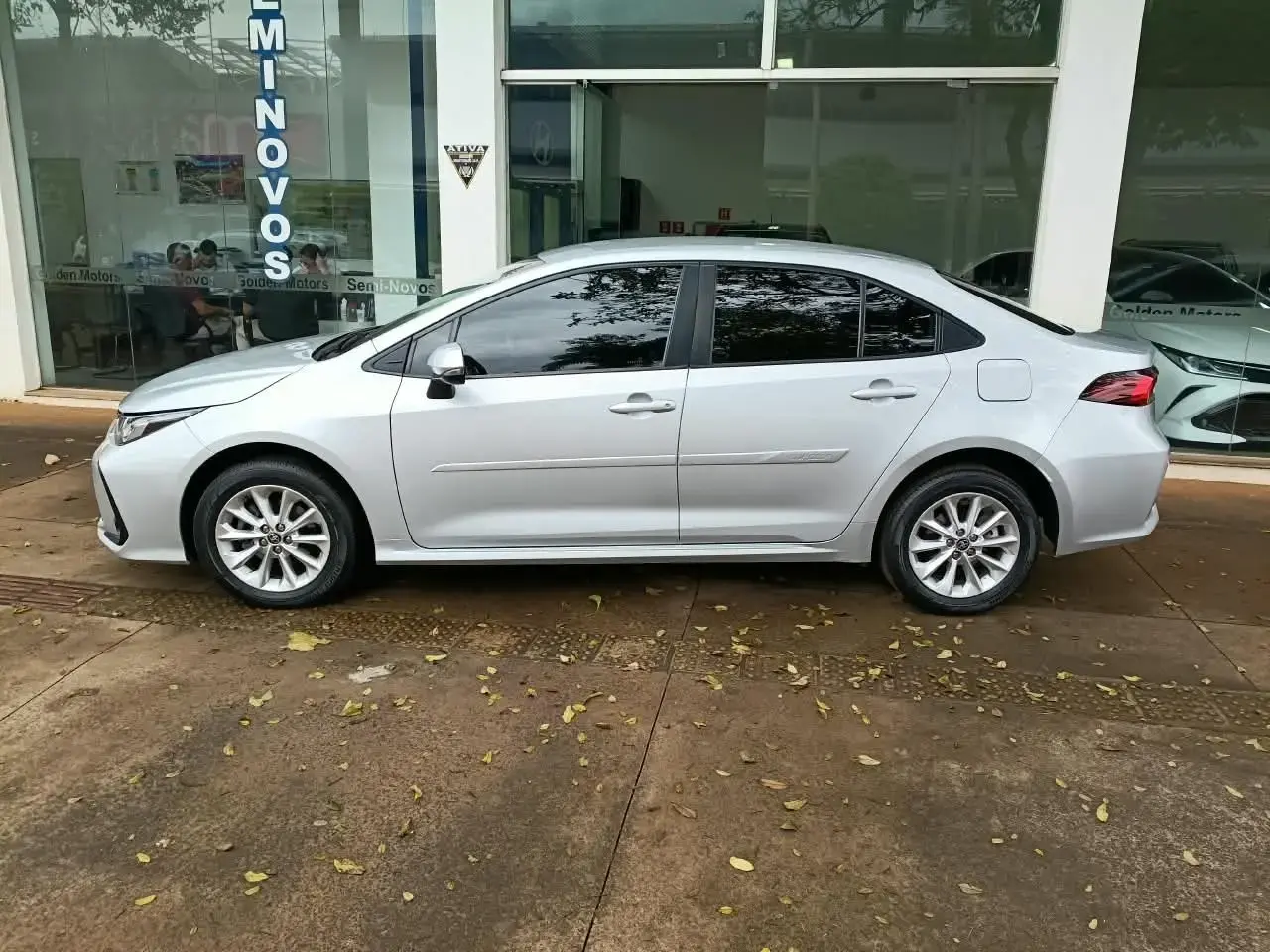 galeria COROLLA