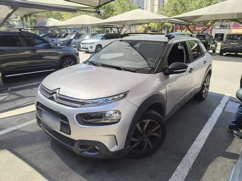 galeria C4 CACTUS
