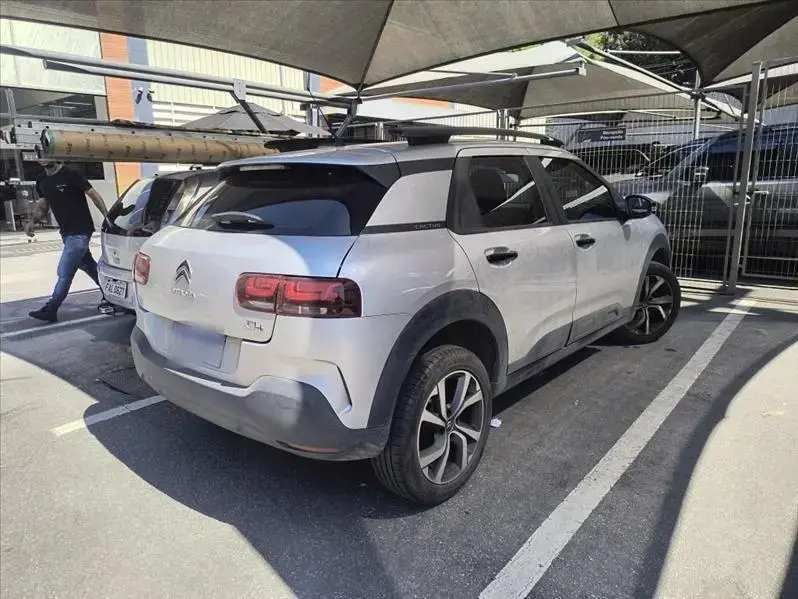 galeria C4 CACTUS