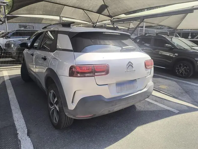 galeria C4 CACTUS