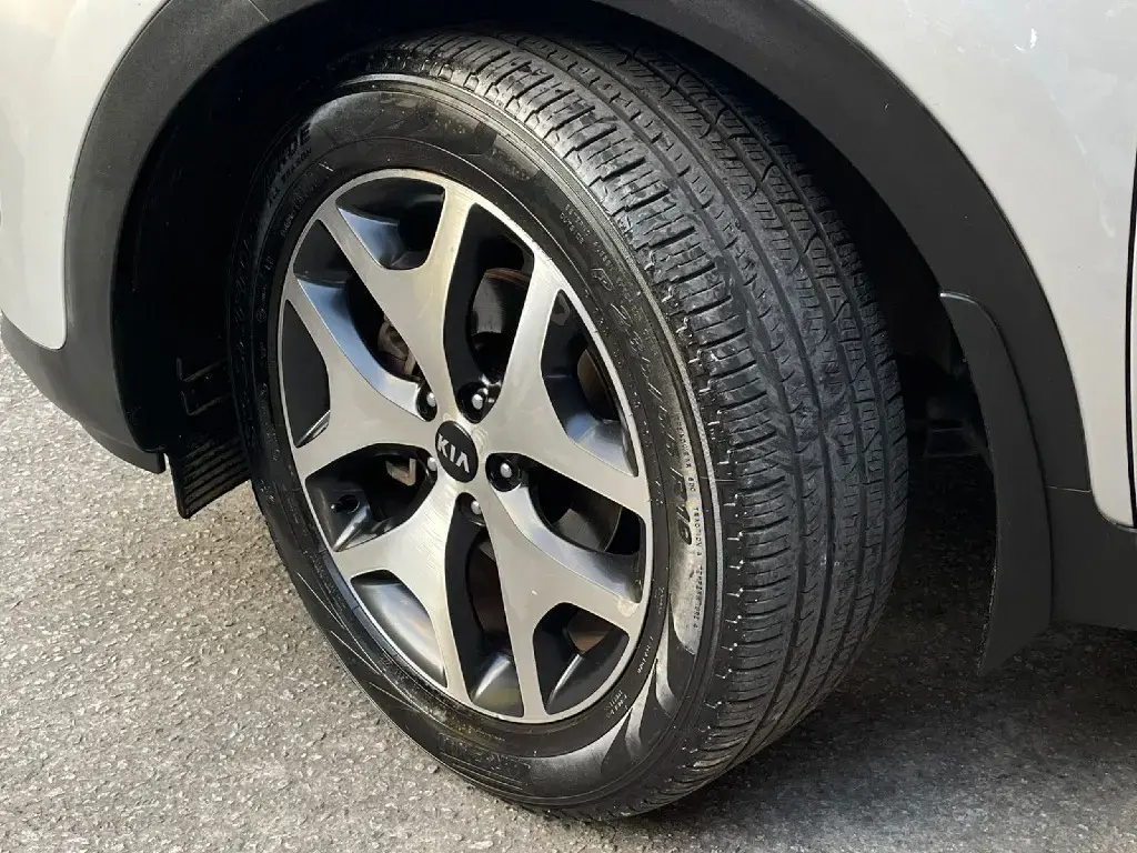 galeria SPORTAGE