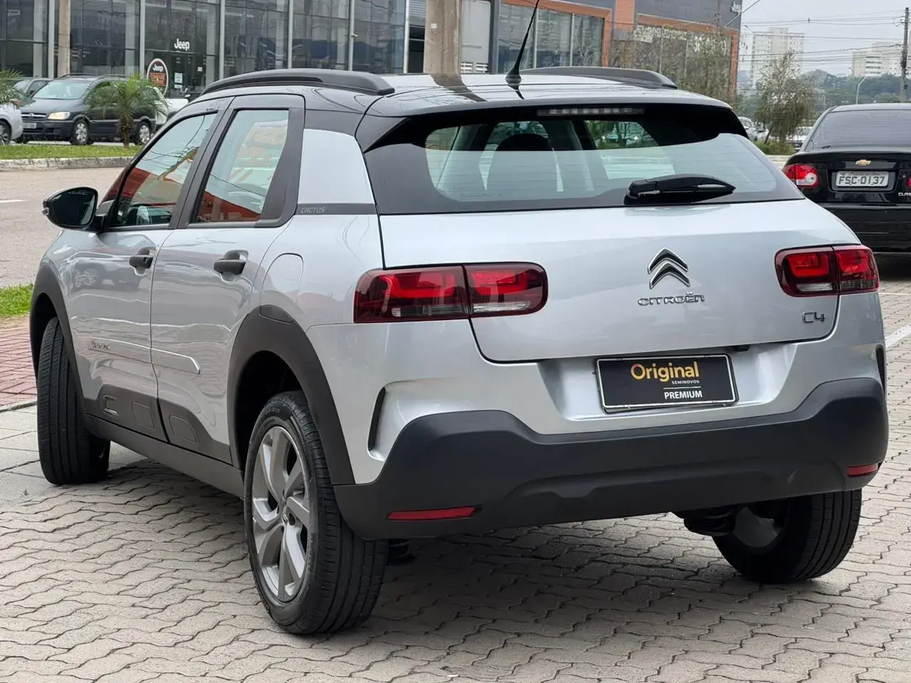 galeria C4 Cactus