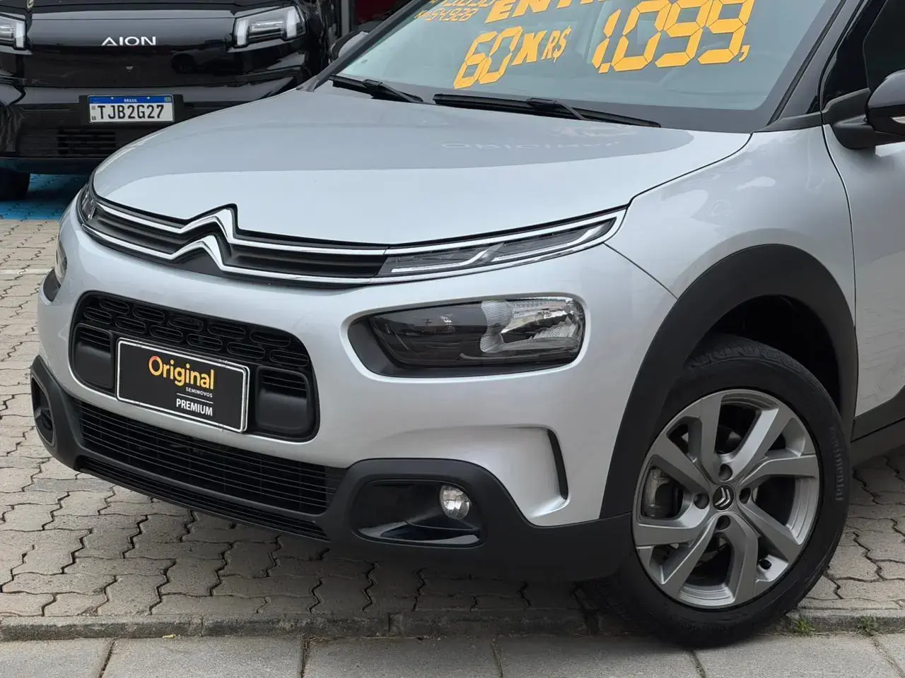 galeria C4 Cactus