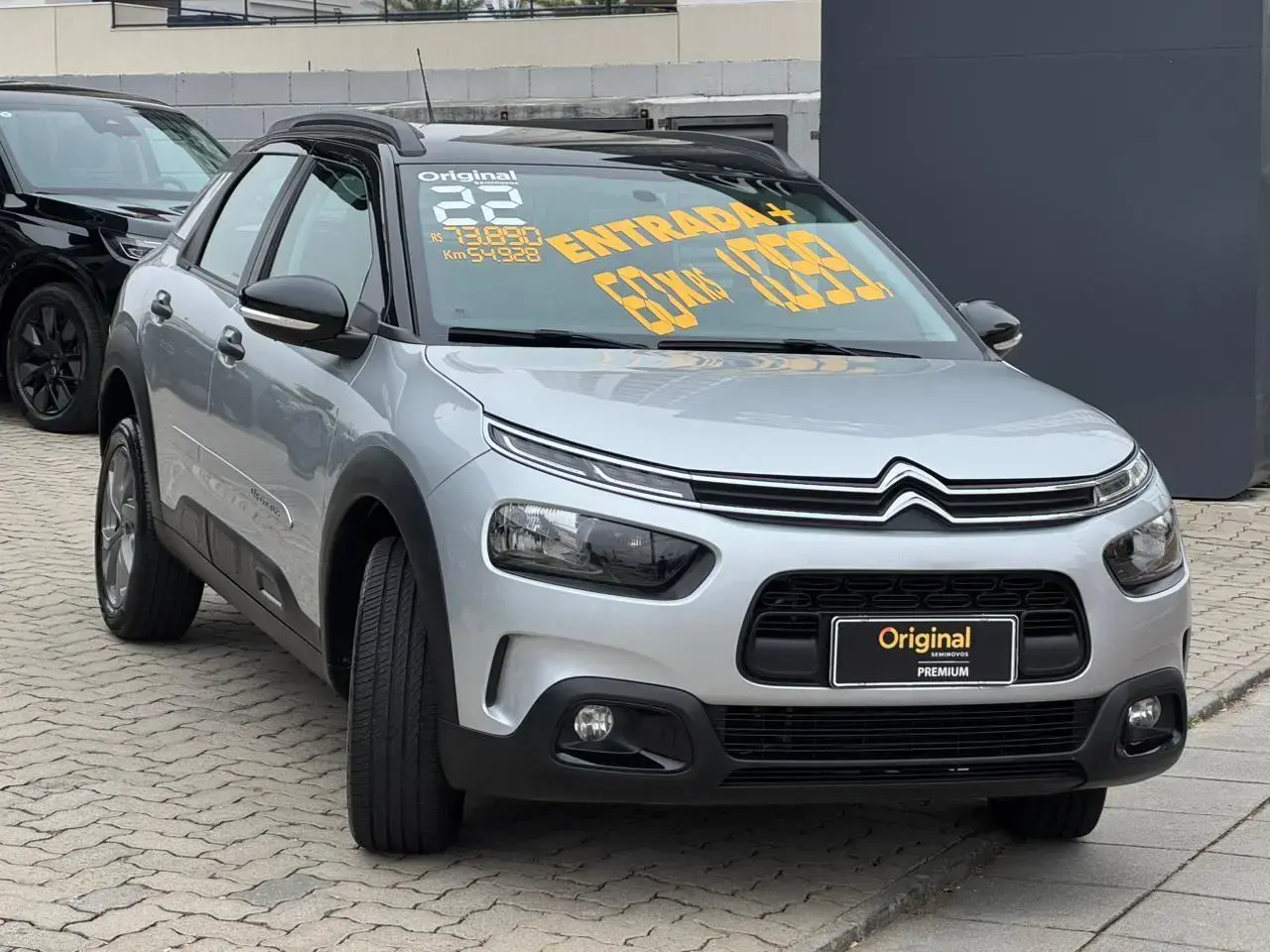 galeria C4 Cactus