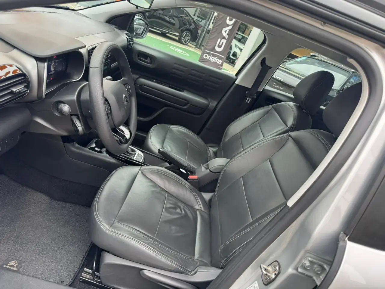 galeria C4 Cactus
