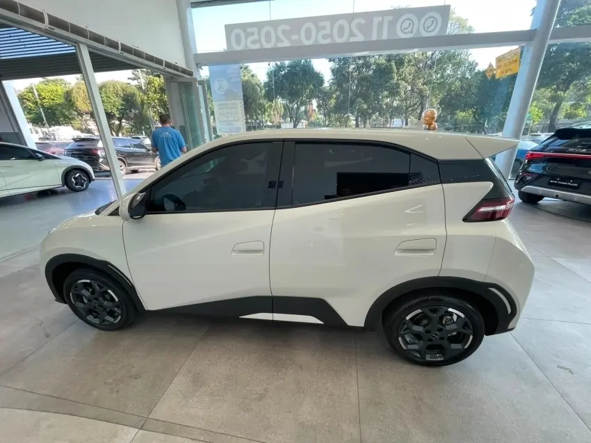 galeria DOLPHIN MINI