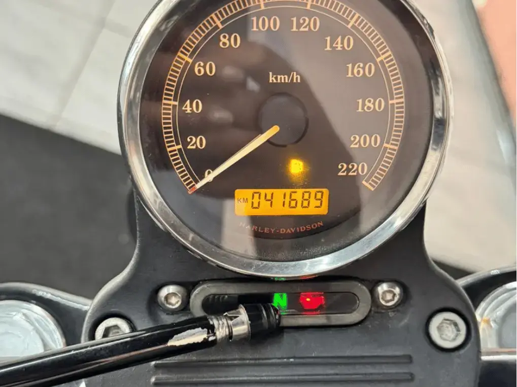 galeria Harley Davidson Dyna Street Bob Seminovas