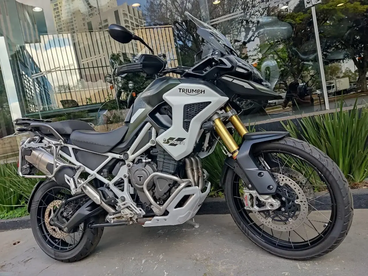 galeria Tiger 1200