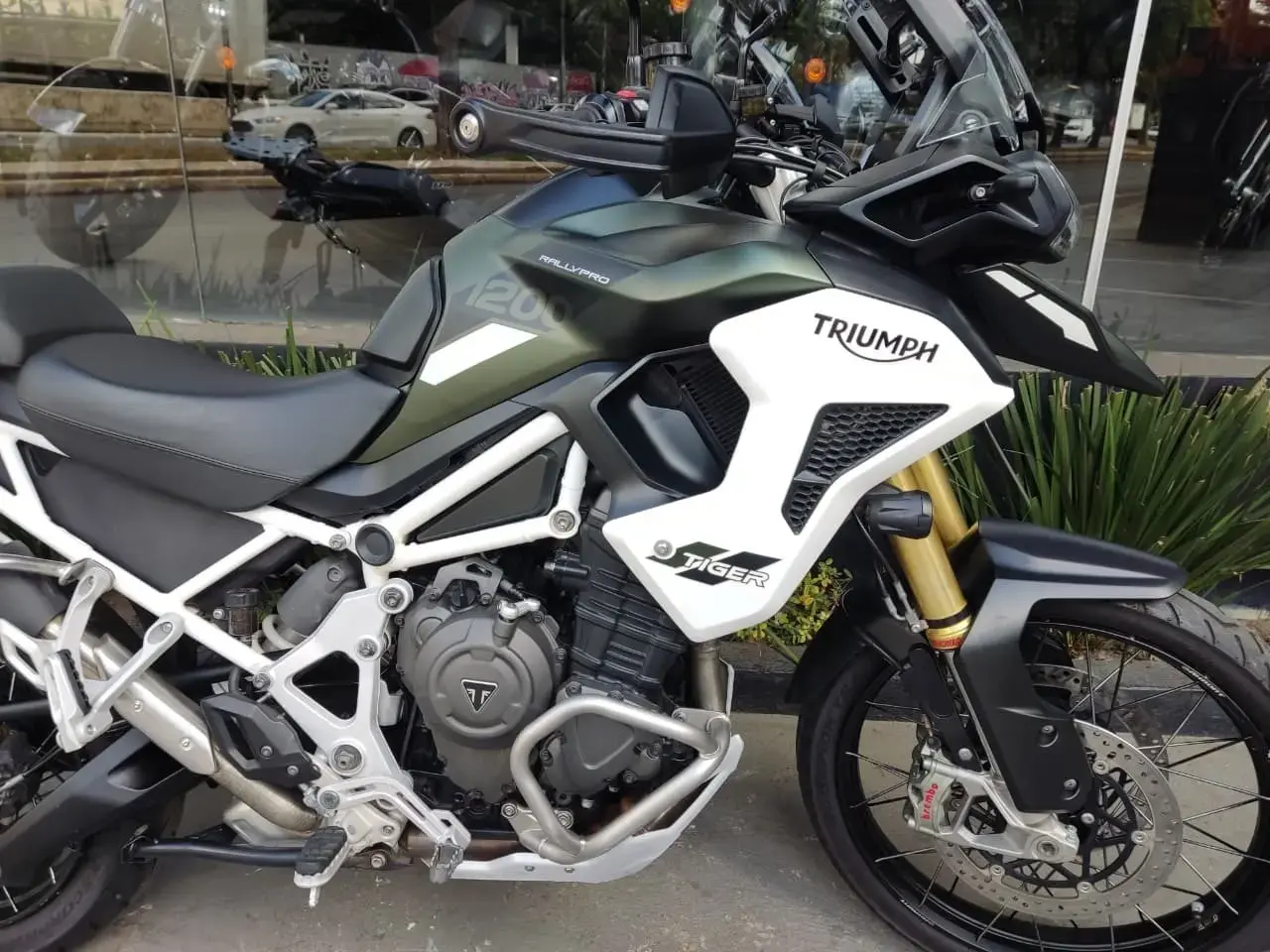 galeria Tiger 1200