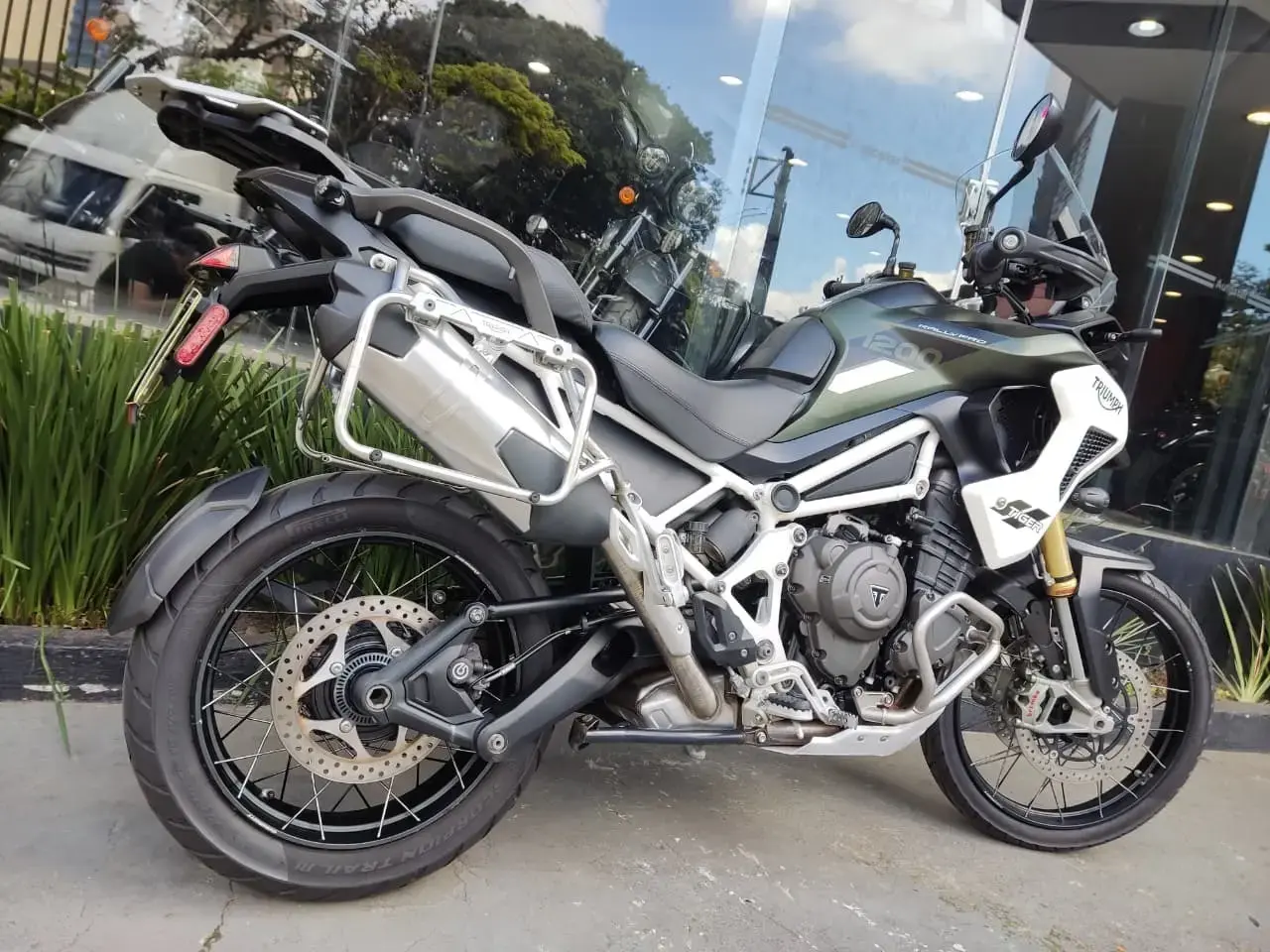 galeria Tiger 1200