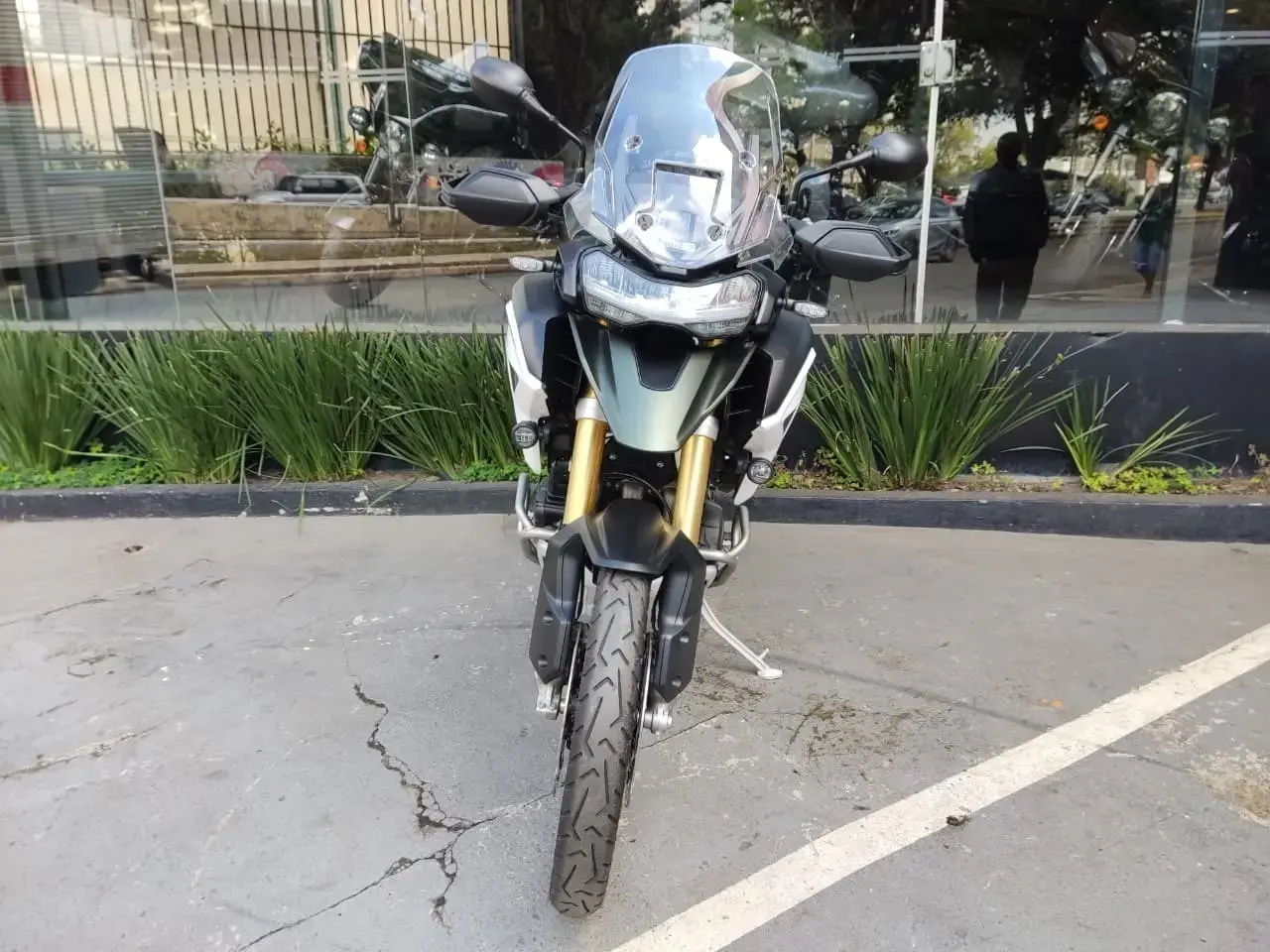 galeria Tiger 1200