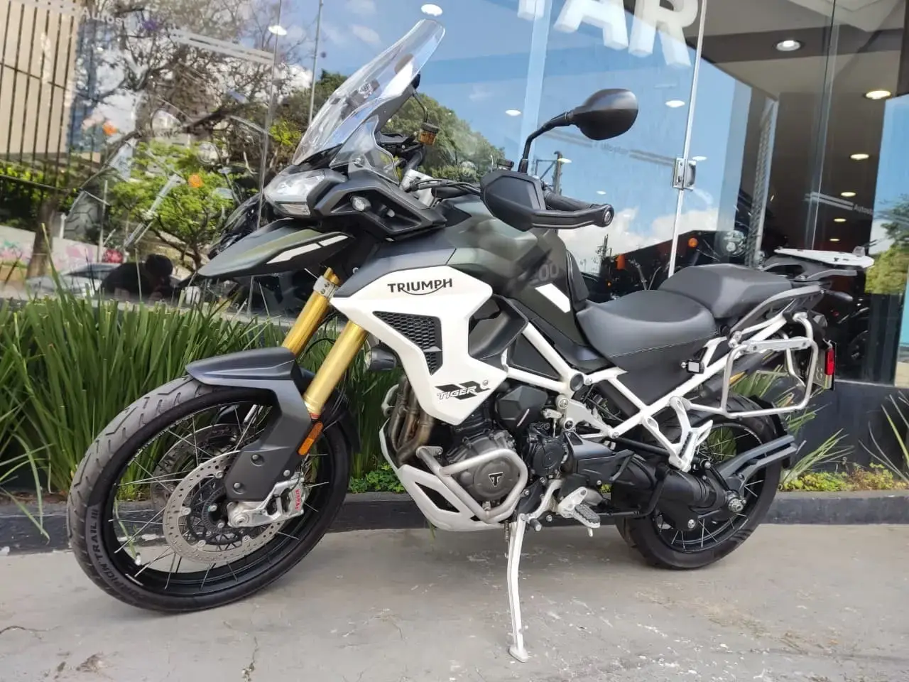 galeria Tiger 1200