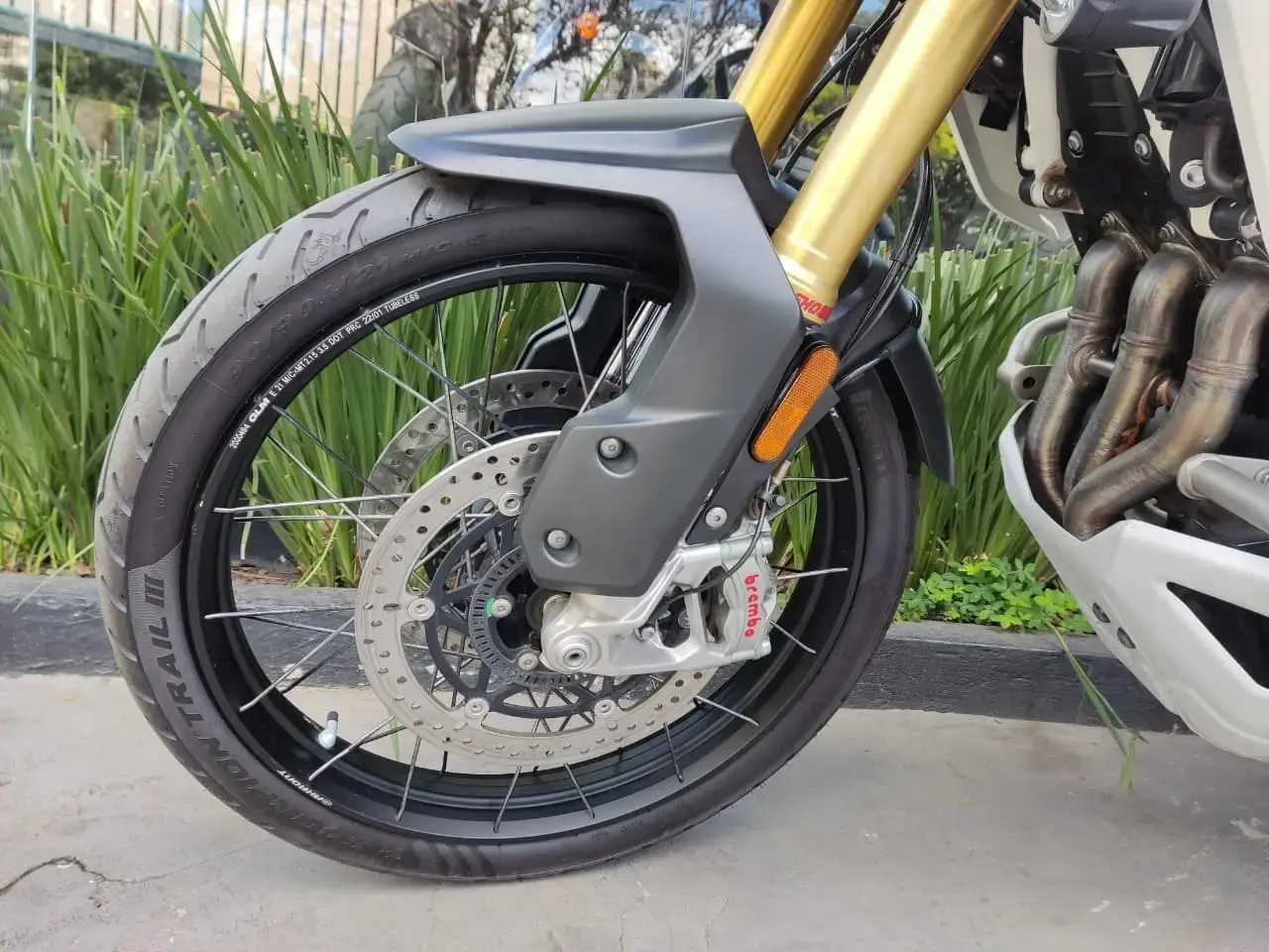 galeria Tiger 1200