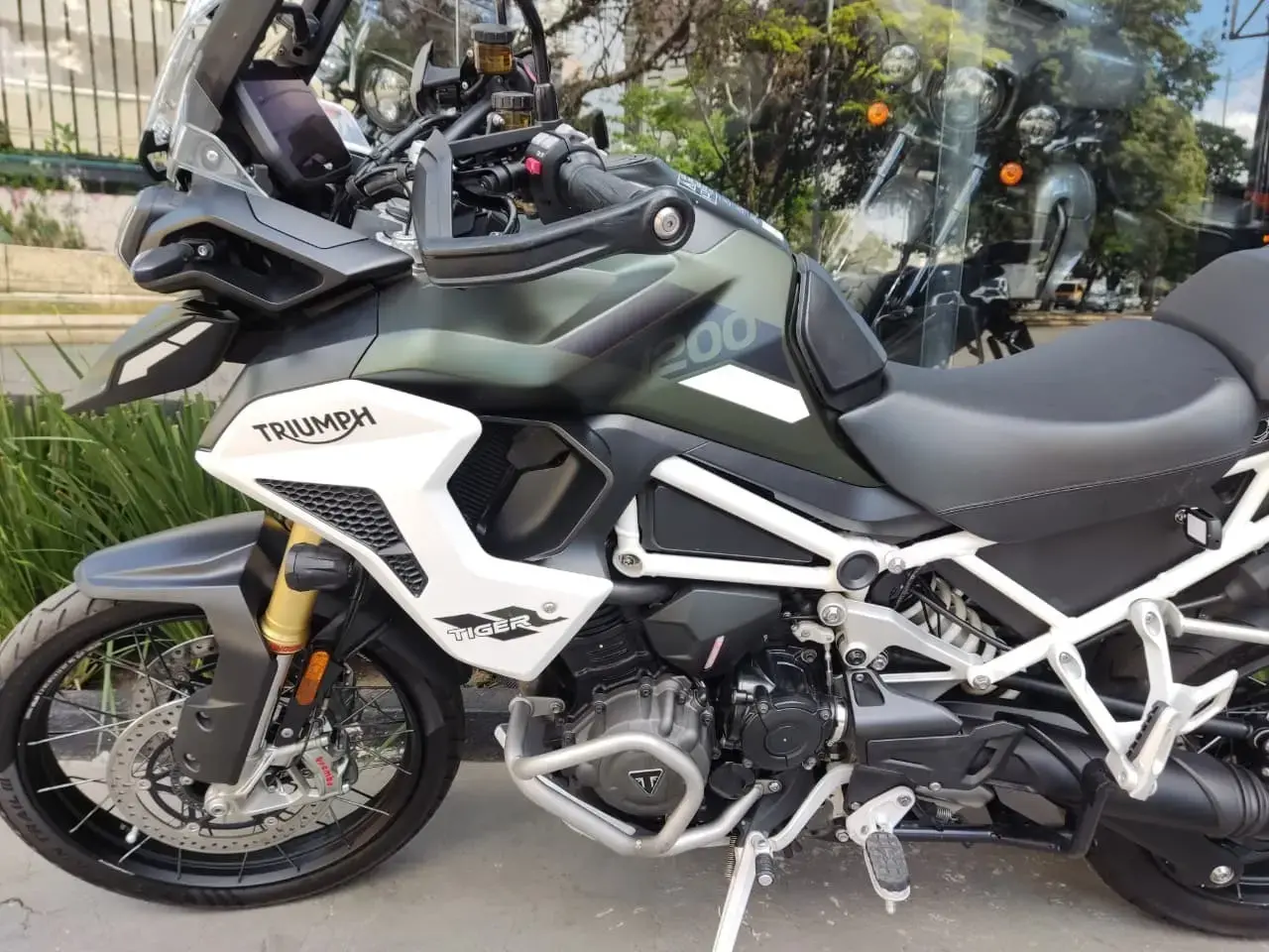 galeria Tiger 1200